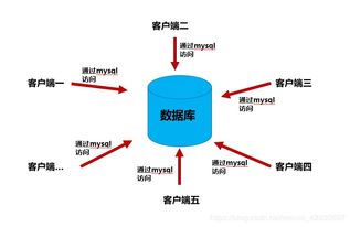 爬蟲(chóng)數(shù)據(jù)存儲(chǔ) MySQL在數(shù)據(jù)處理與存儲(chǔ)支持服務(wù)中的核心地位